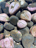 Kola nut (OBI ABATA)