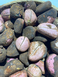 Kola nut (OBI ABATA)